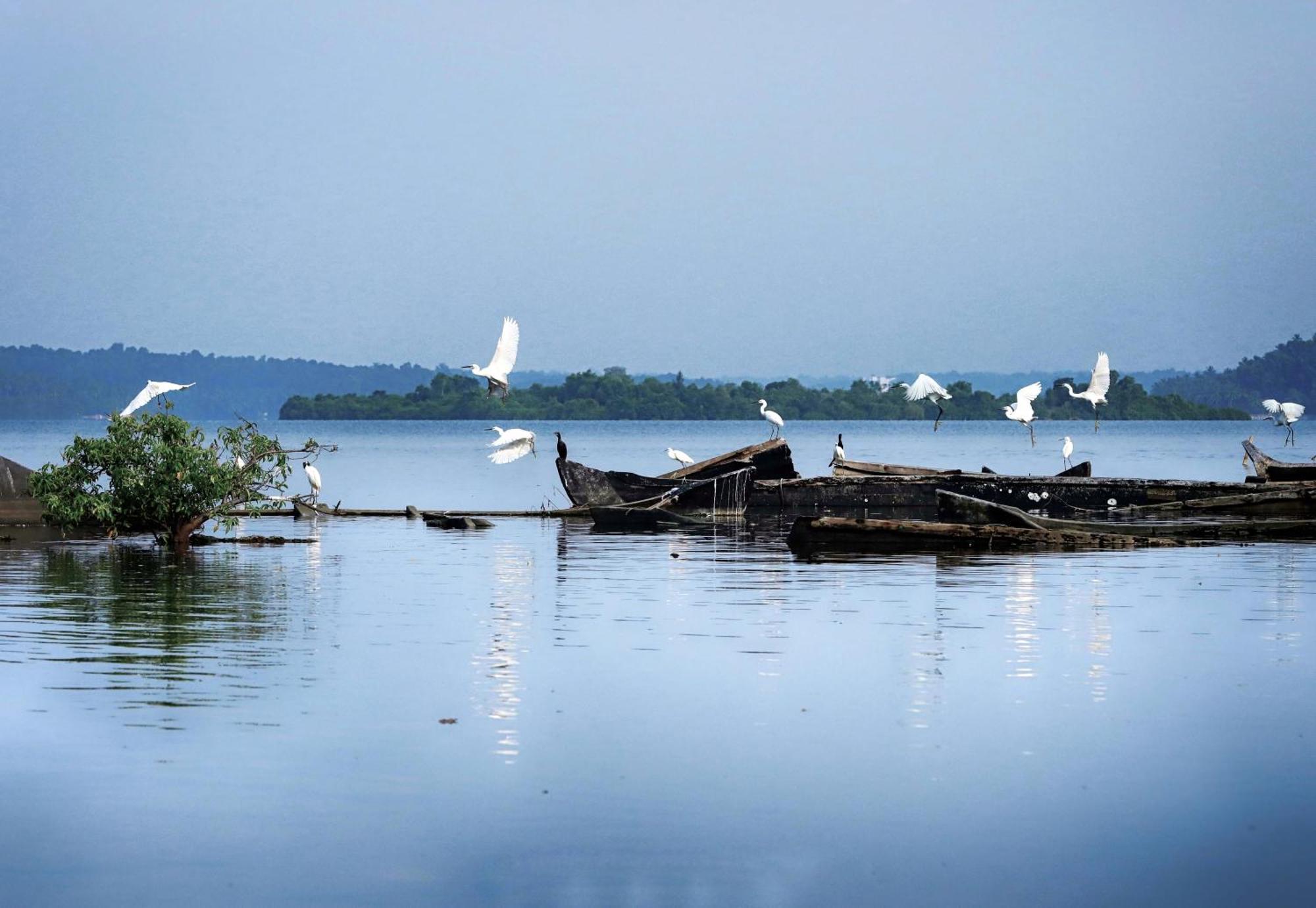 MundrothuruthPrakruthi Residency Munroeisland公寓 外观 照片